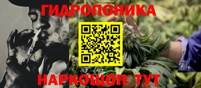 сатива Кунгур