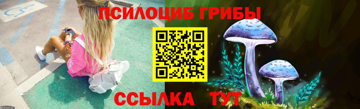 закладка  Вход с VPN  Кириши  Галлюциногенные грибы мухоморы 